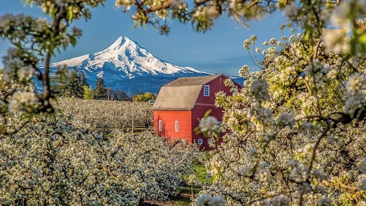 Photo of Others in Hood River