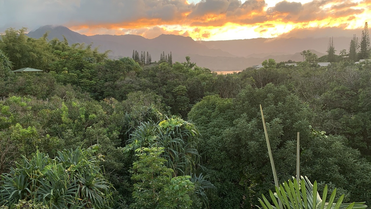 Photo of Others in Princeville