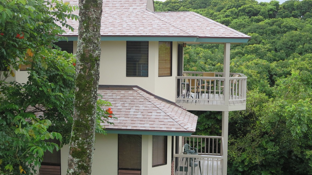 Photo of Others in Princeville