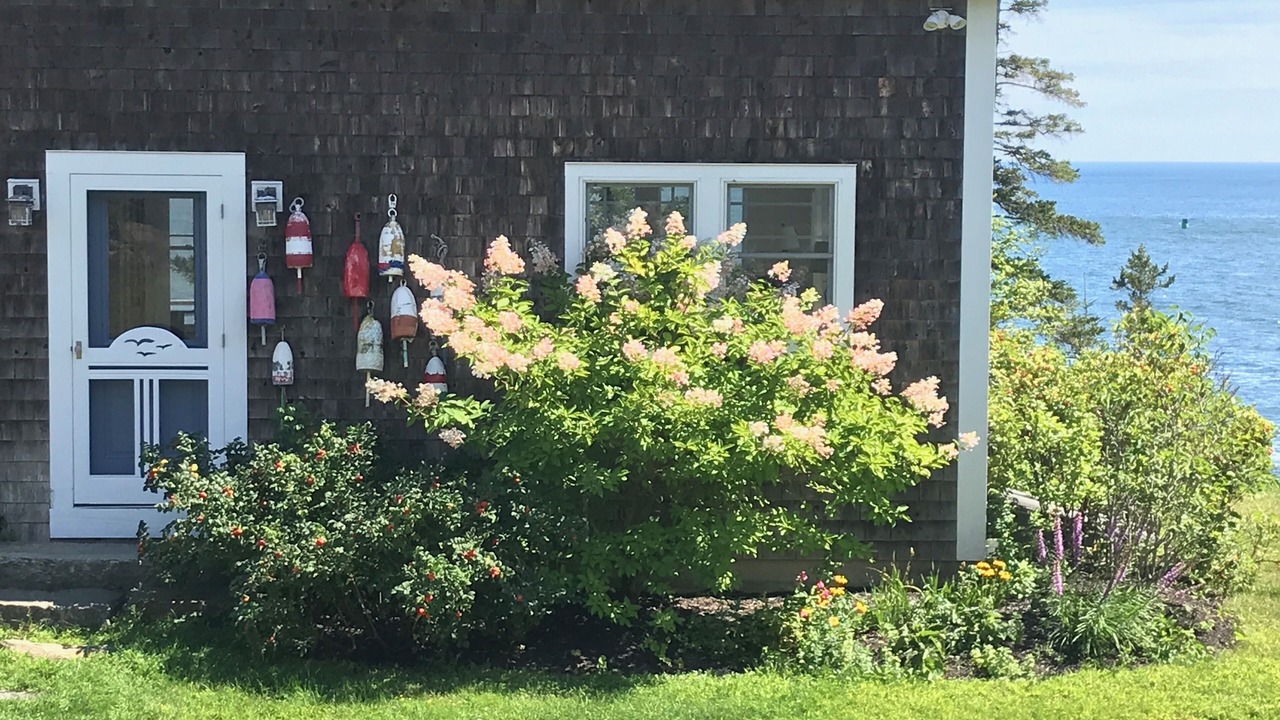 Photo of Outdoor in Tenants Harbor