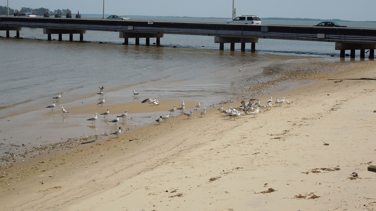 Photo of Others in Surry