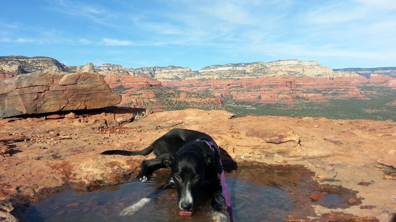 Photo of Others in Sedona