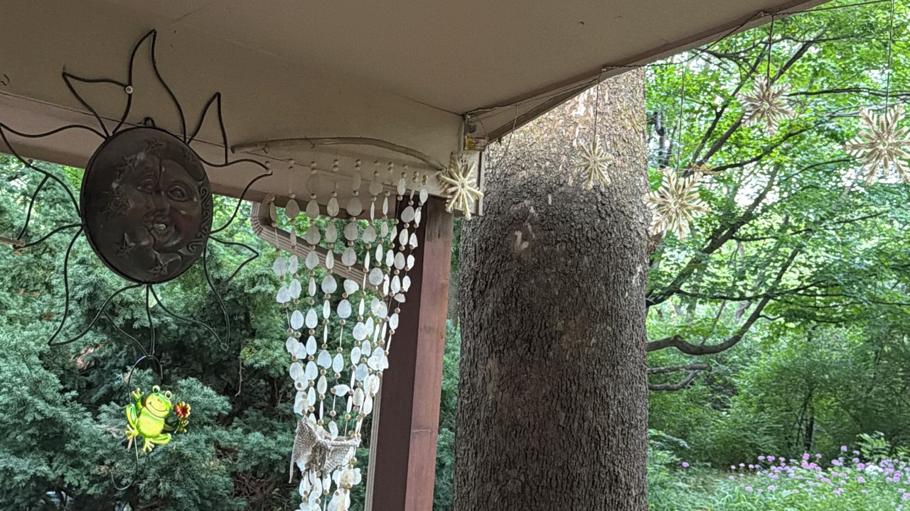 Photo of Patio Balcony in Wichita