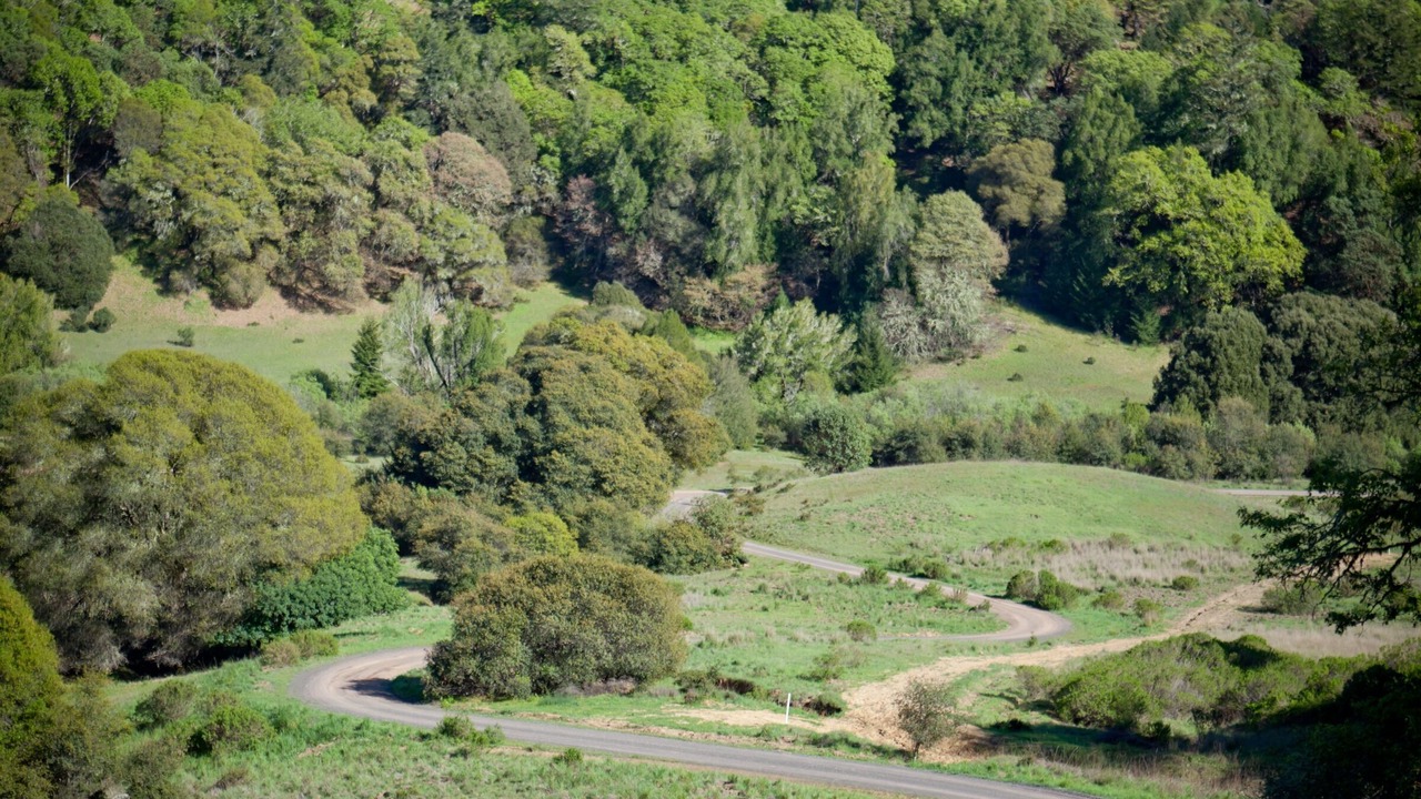 Photo of Others in Ukiah