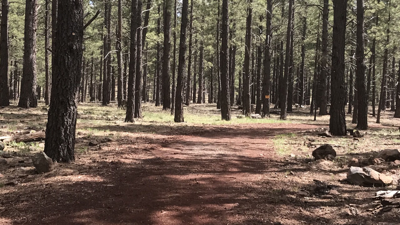 Photo of Others in Parks