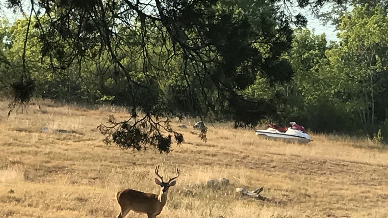 Photo of Others in Canyon Lake