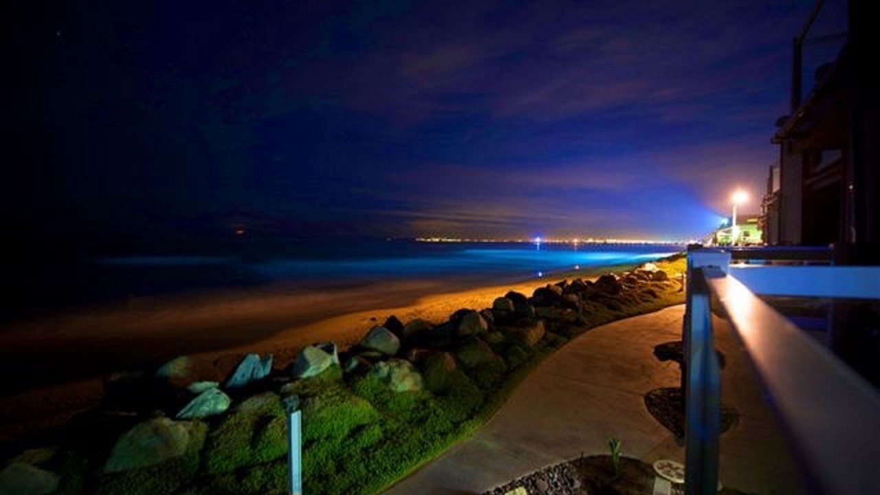 Photo of Others in Imperial Beach