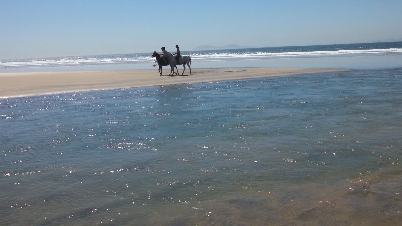 Photo of Others in Imperial Beach