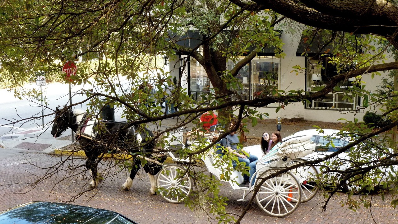 Photo of Others in Historic Downtown Savannah