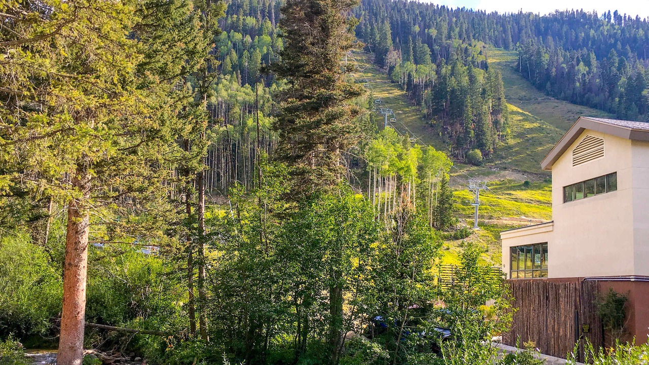 Photo of Others in Taos Ski Valley