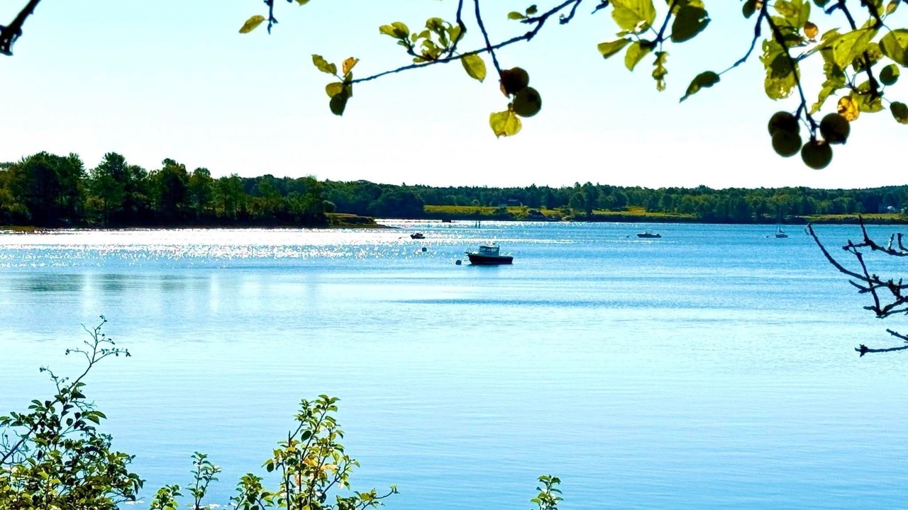 Photo of Others in Castine