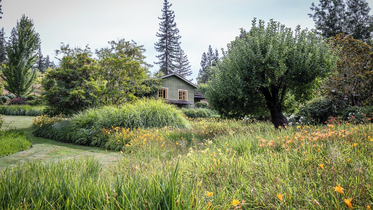 Photo of Outdoor in Anderson Valley