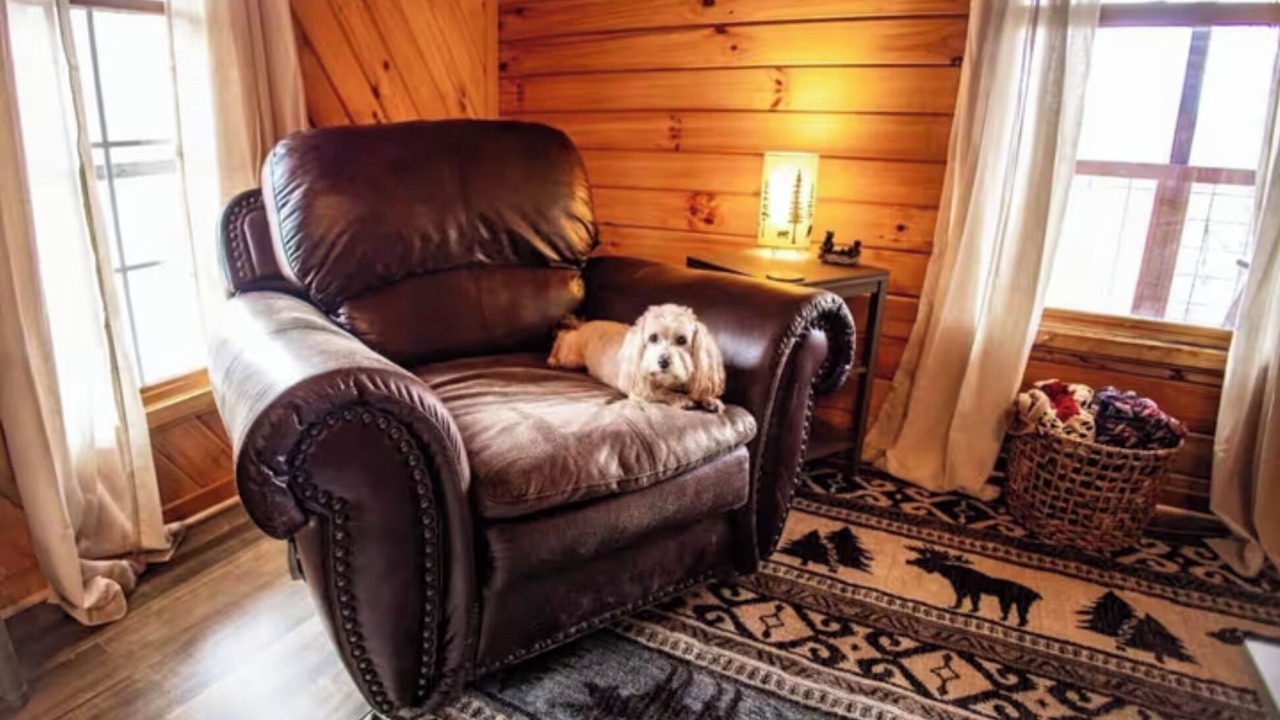 Photo of Livingroom in Louisa