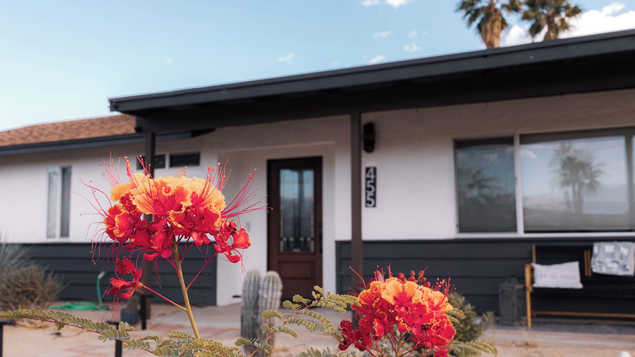 Photo of Outdoor in Borrego Springs
