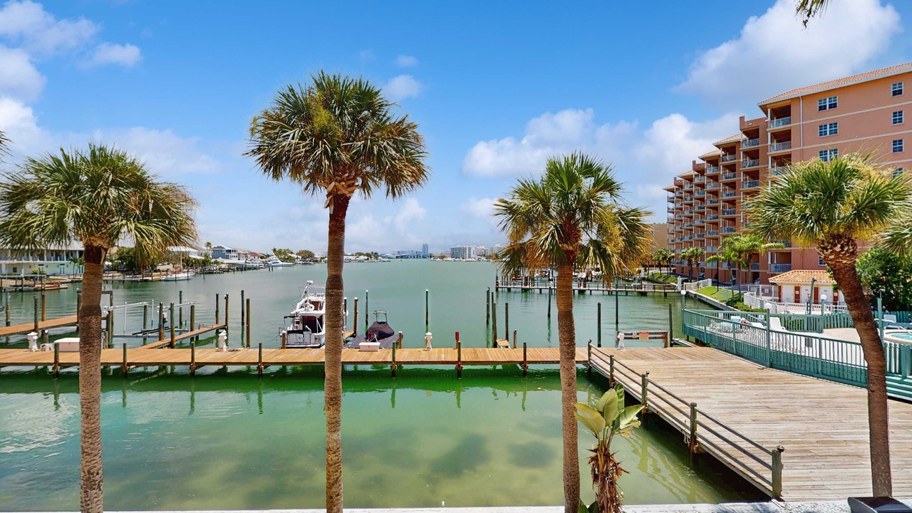 Photo of Outdoor in Clearwater Beach