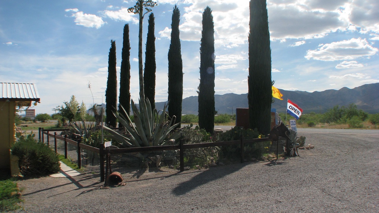 Photo of Outdoor in Rodeo