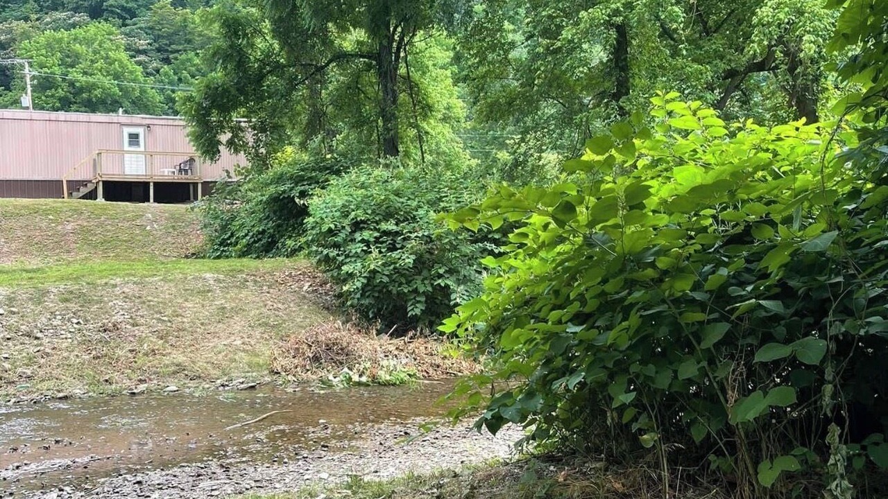 Photo of Outdoor in Dorton