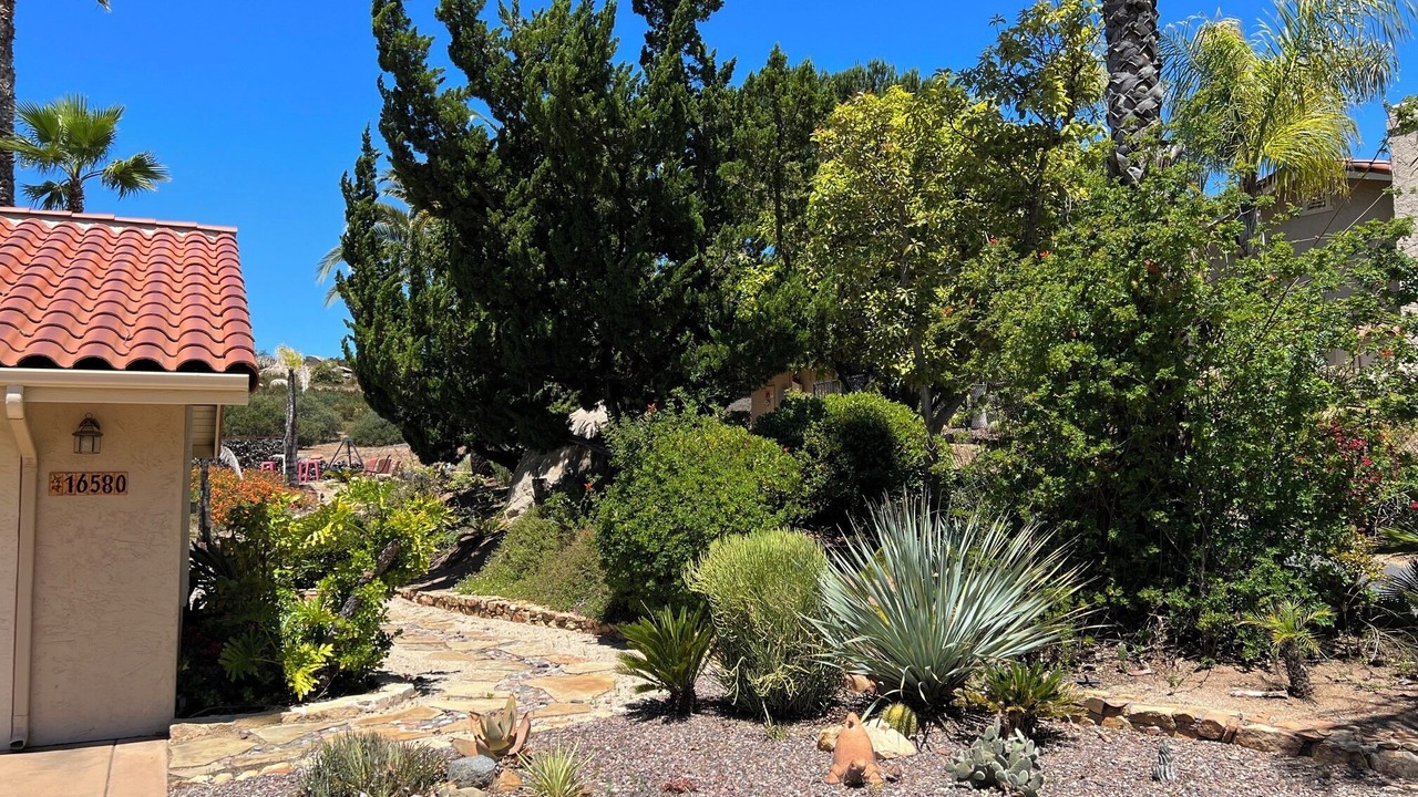 Photo of Outdoor in Ramona