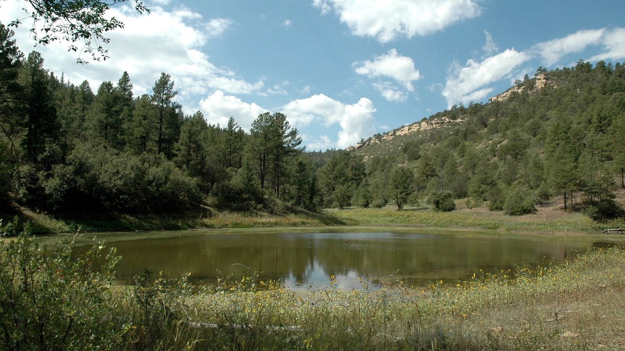 Photo of Others in Raton