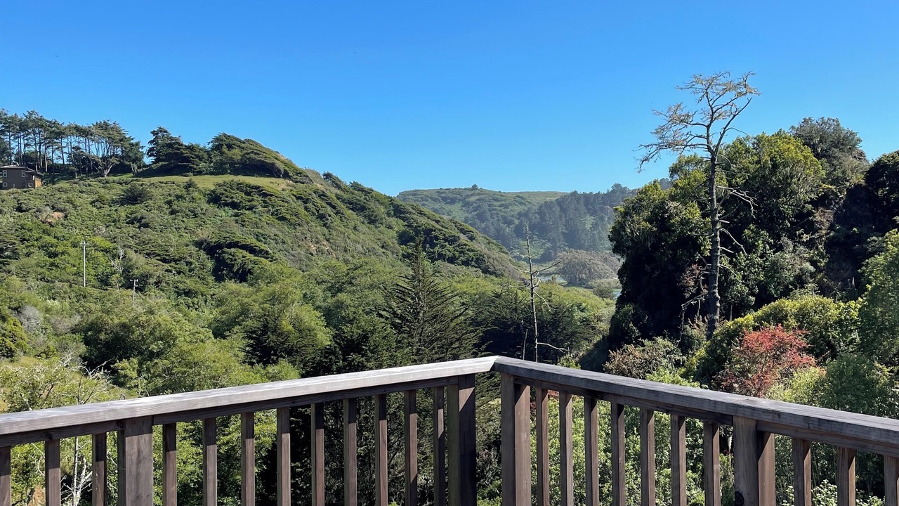 Photo of Outdoor in Jenner
