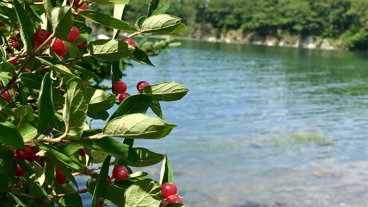 Photo of Outdoor in Salsbury Cove