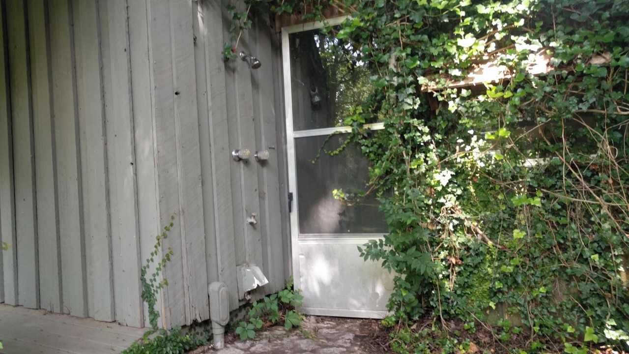 Photo of Outdoor in Canyon Lake
