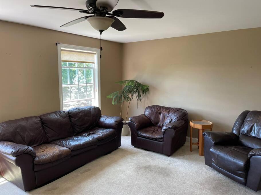 Photo of Livingroom in Belfast