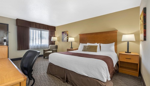 Standard Room, 1 King Bed, Non Smoking, Refrigerator & Microwave
